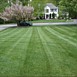 Lawn Maintenance & Care